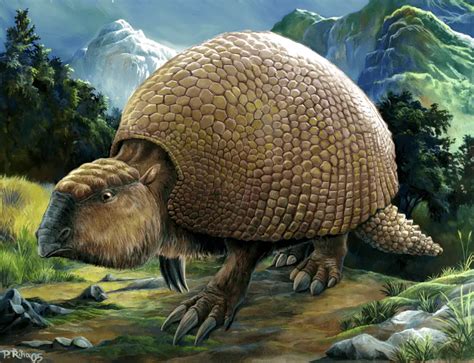 which traits did glyptodon have.